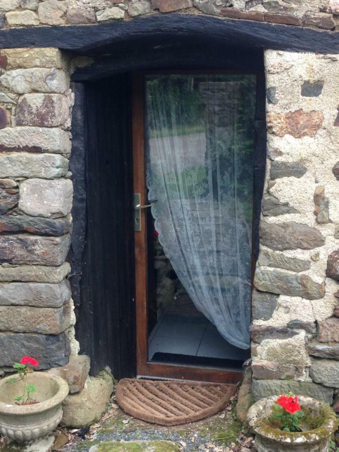 Le Petit Chateau, Matisse Noyal-Pontivy المظهر الخارجي الصورة